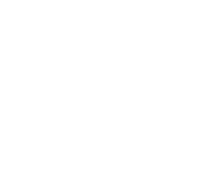 FNV Elektronik
